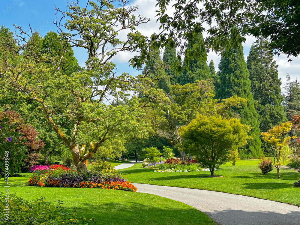 Fototapeta premium Along the path on a sunny, clear day at the Botanical Garden