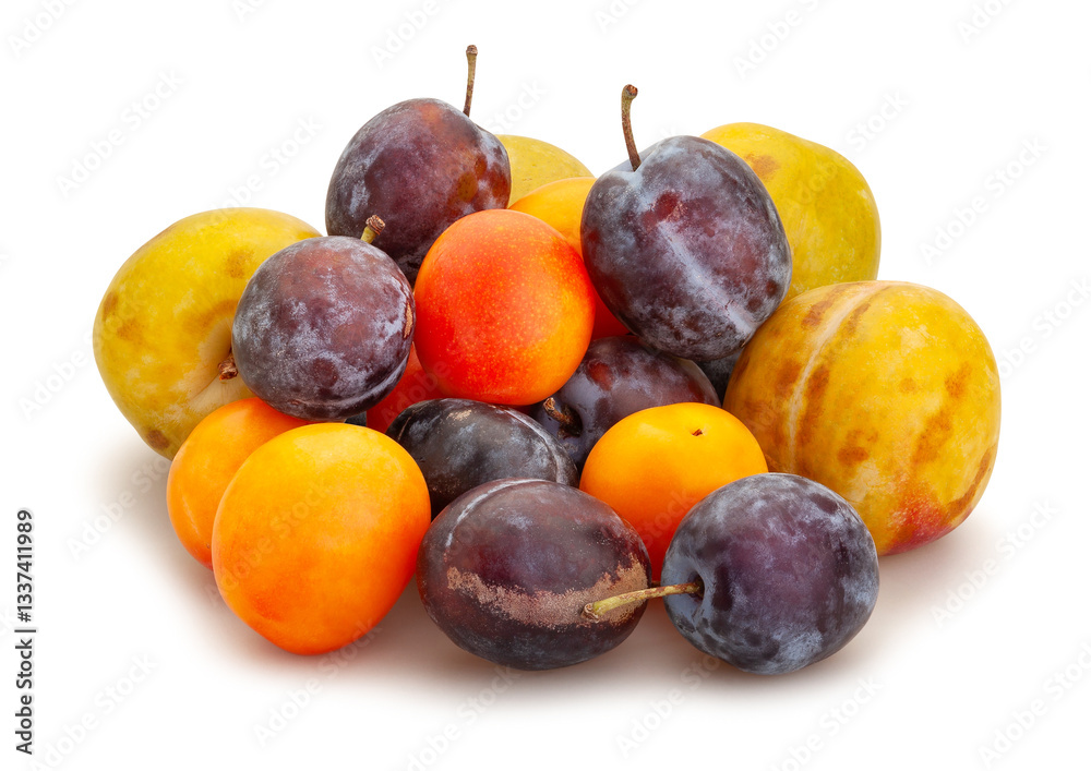 mixed plums path isolated on white
