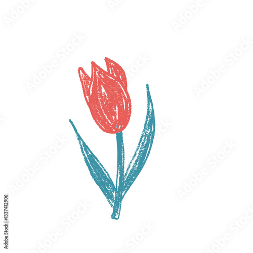Tulip flower crayon drawn. Spring crocus plant doodle isolated on white background. Summer floral kids element. Chalk or pastel style childish scrawl nature shape. Vector naive illustration by pencil.