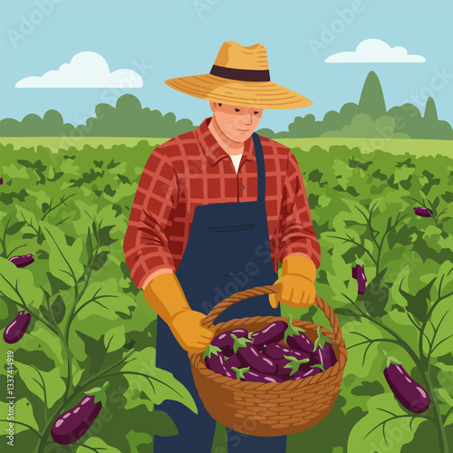 Gathering Eggplant Harvest Farmer with Basket in a Lush Field