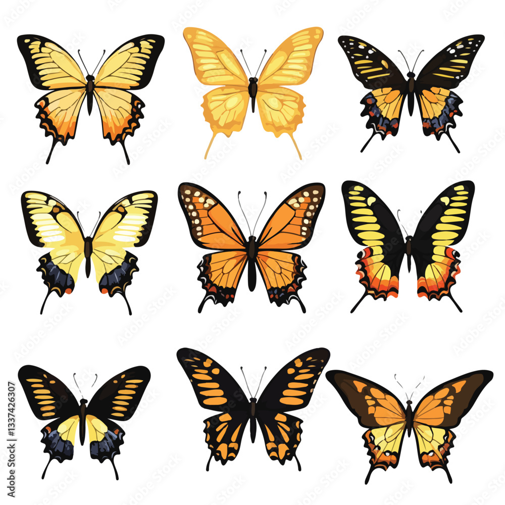 Fototapeta premium Beautiful Butterfly Insect Nature Vector Illustration Fly