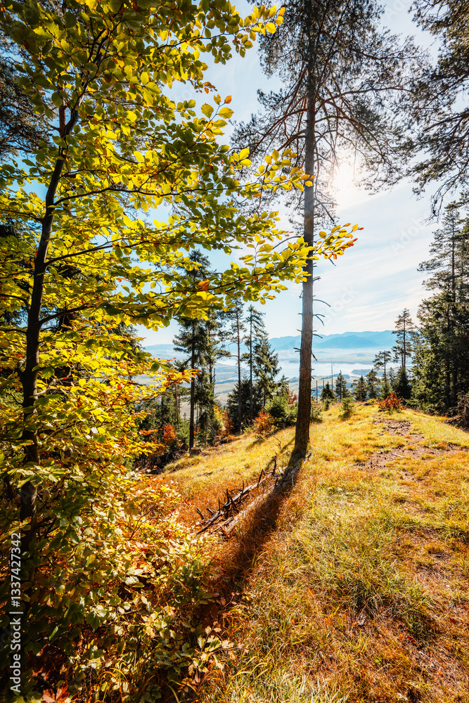 Obraz premium Liptov region Hiking in Tatras mountains to autumn cerenova rock view near Liptovsky Mikulas , slovakia.