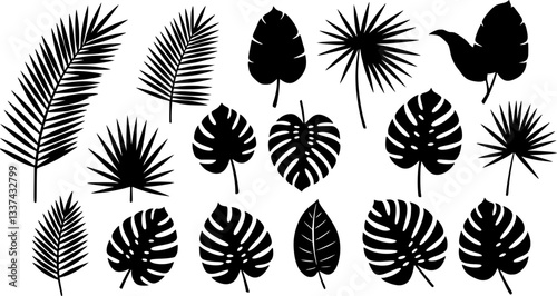 Set of tropical leaves. Vector 
