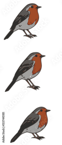 vector drawing bird, european robin, hand drawn Erithacus rubecula, isolated nature design element
