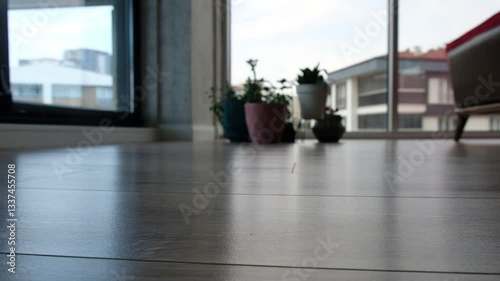 Robot Vacuum Cleaning Hardwood Floor in Living Room with Plants and Large Windows