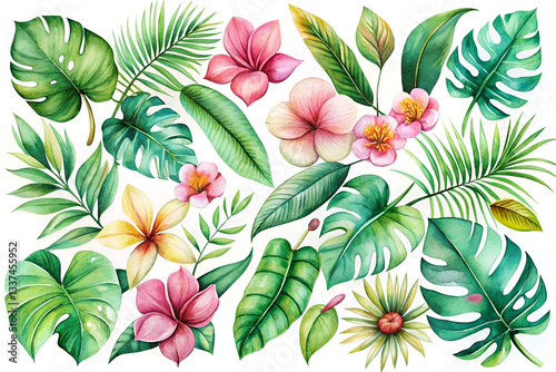 Watercolor Tropical Leaves and Flowers with Monstera and Hibiscus photo