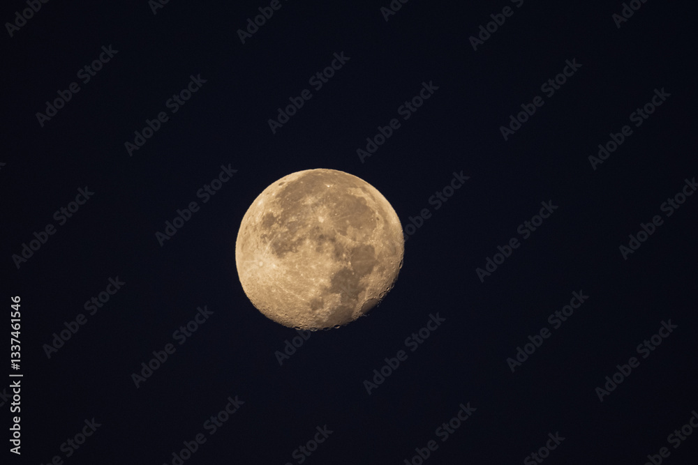 Fototapeta premium moon