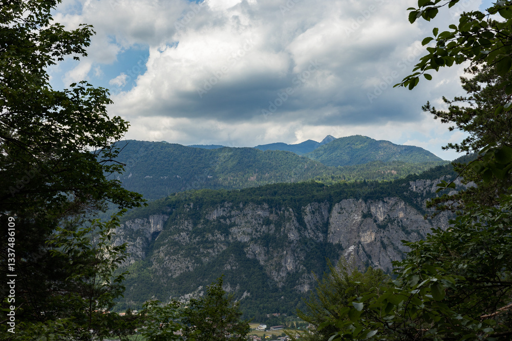 catena montuosa lontana nelle Alpi del nord Italia, vista da dietro le sagome degli alberi di un bosco, di giorno, in estate