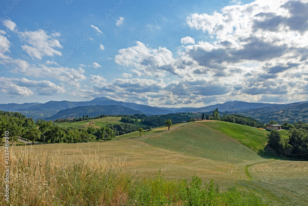 panoramica su un bellissimo ambiente naturale tra le alte colline tra Toscana ed Emilia Romagna, in estate
