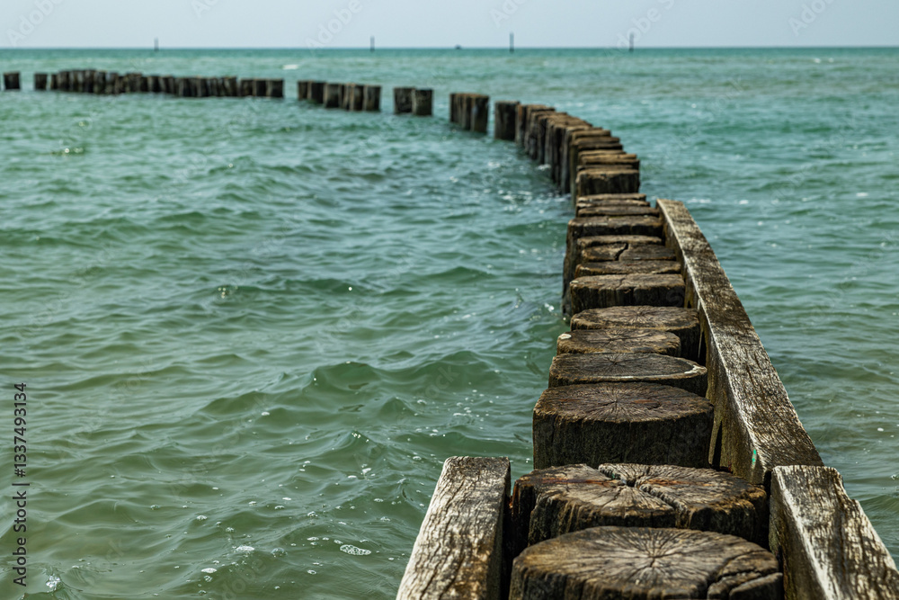 Lunga fila di pali di legno di forma cilindrica, larghi e bassi, che si estendono in lontananza su una linea curva come frangiflutti, immersi in acqua di mare nel mare Adriatico
