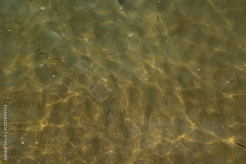 fondale marino sabbioso visto attraverso l'acqua di mare trasparente