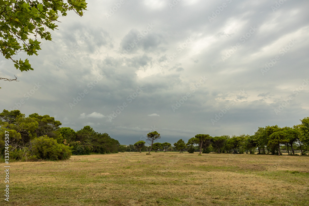 panoramica su un ambiente rurale e naturale marino delle campagne del Veneto, di pomeriggio, in estate, prima del passaggio di un temporale