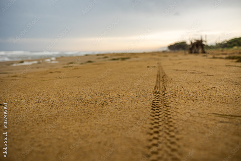 traccia di copertone di bicicletta sulla sabbia bagnata di una spiaggia, che si estende in primo piano verso l'orizzonte