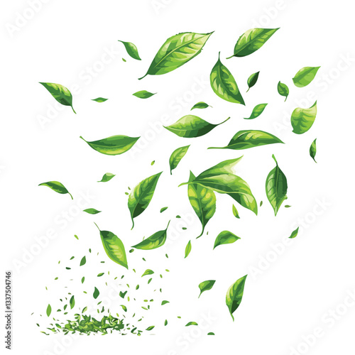 Green Tea Leaves Flying and Falling on White Background