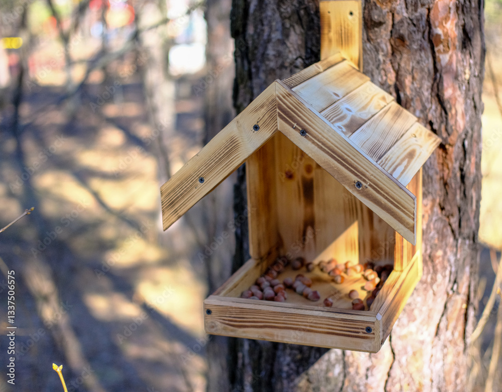 Obraz premium wooden squirrel feeder hanging on a tree in a city park