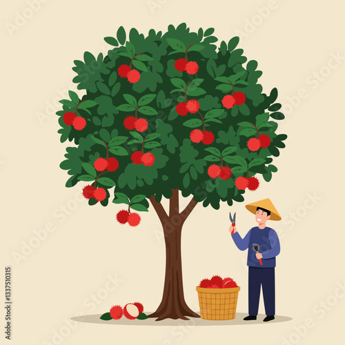Picking Rambutan Fruit From Tree in Tropical Orchard Illustration