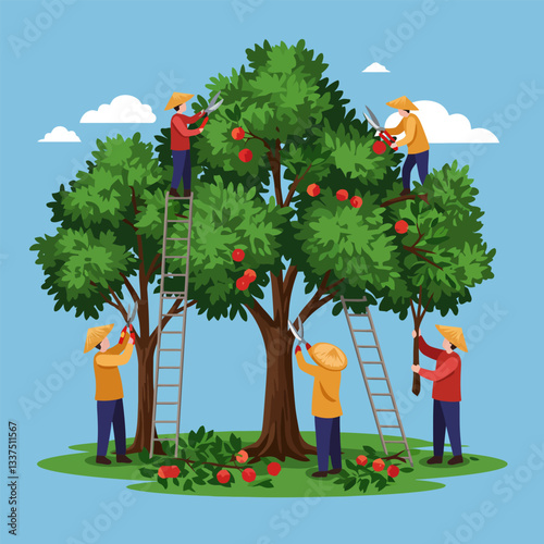 People Harvesting Apples From Trees with Ladders and Pruning Shears