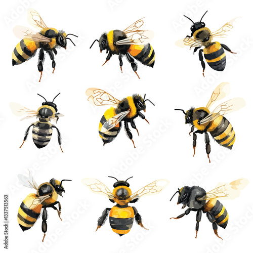 Honey Bee Set: Beehive Bumblebee Working Insects