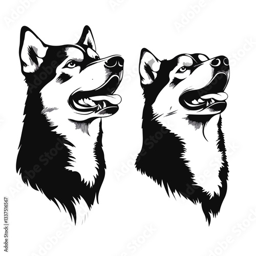 Majestic Husky Dog Portrait with Profile, Side, and Front View