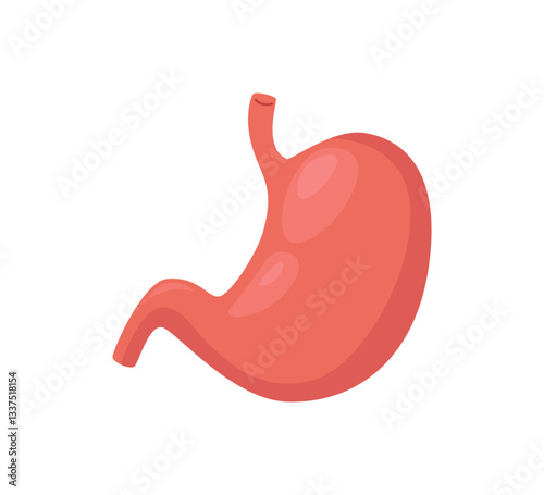 Stomach care and protection. Healthy stomach medical concept. Human stomach anatomy organ icon inside protection
