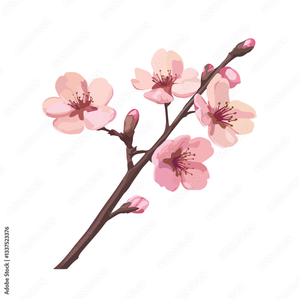 Fototapeta premium Elegant Pink Cherry Blossom Branch Isolated on Vector Background