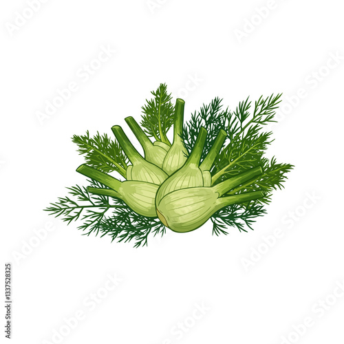celery isolated on white background