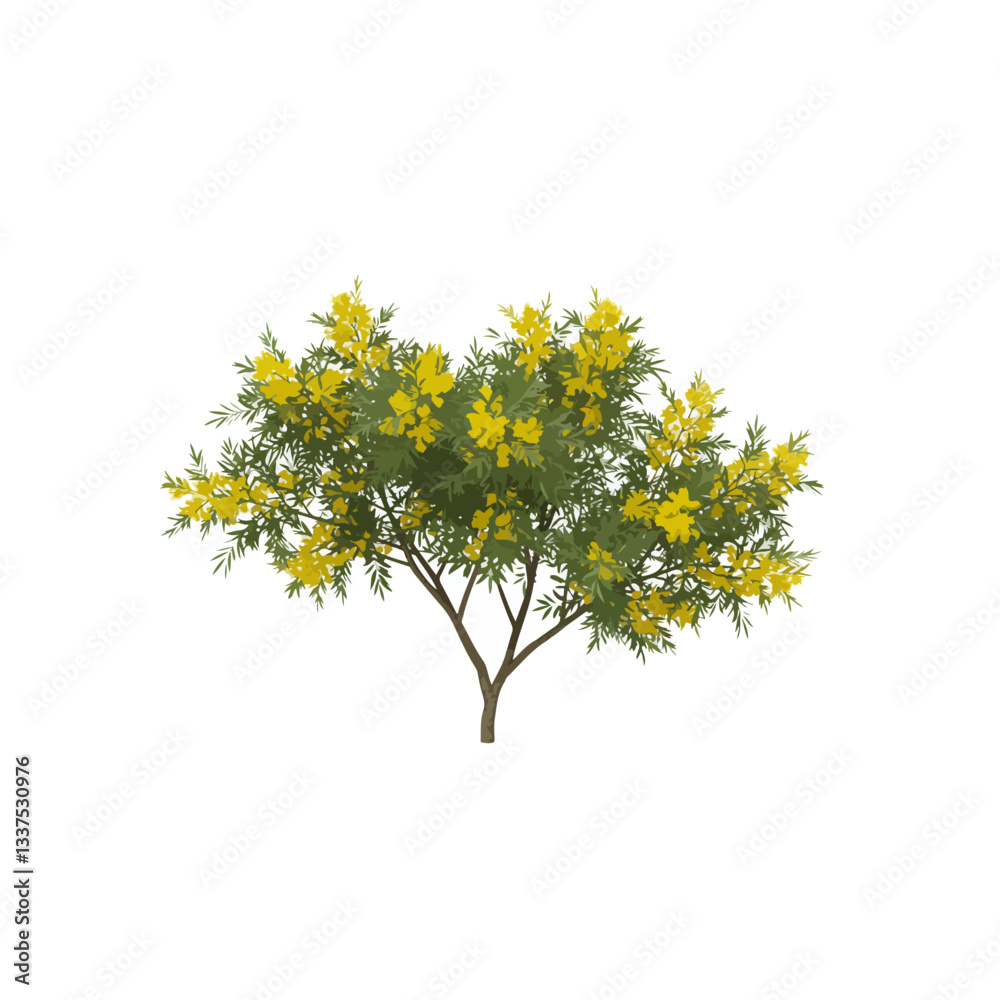 yellow tree isolated on white yellow tree isolated on white