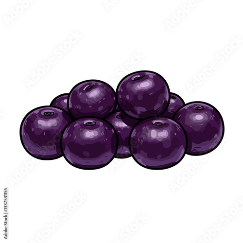 plums isolated on white