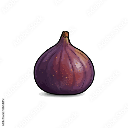 fig isolated on white background