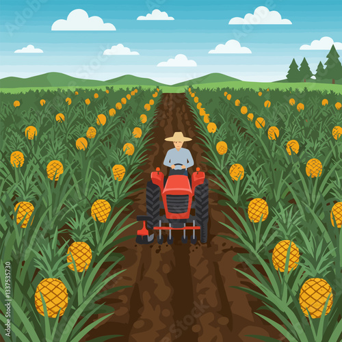 Tractor Working in Pineapple Field on a Sunny Day Farming