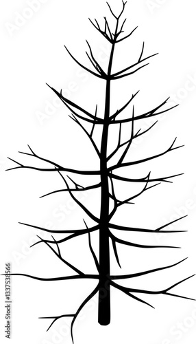 Dead tree silhouette