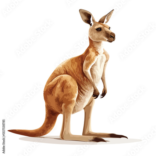 Kangaroo Full Body Vector Illustration in Australia