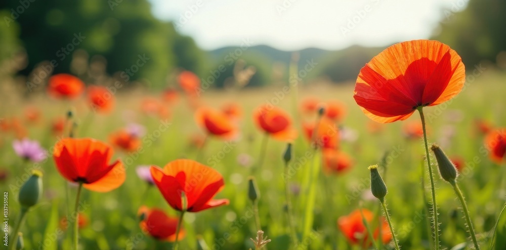 Vibrant red poppies bloom amidst swaying wildflowers in a sun-drenched meadow , high resolution, image Vibrant red poppies bloom amidst swaying wildflowers in a sun-drenched meadow , high resolution, image