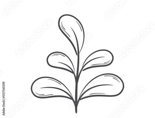 Spring plant with five rounded leaves line illustration. Planting and nature design element. Isolated vector image