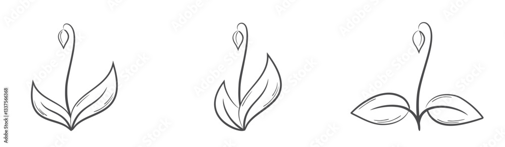 Fototapeta premium Spring sprout with bud line illustrations. Nature and spring design elements. Isolated vector images