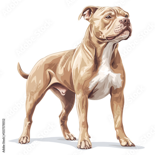 Pitbull Bulldog Full Body Vector Illustration
