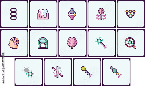 Collection of medical anatomy icon illustrations featuring various human systems