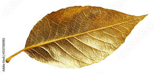 Golden leaf with intricate texture on transparent background. Nature and art concept