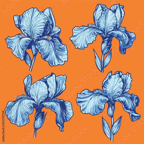 Blue Iris Flower Illustrations Set of Four