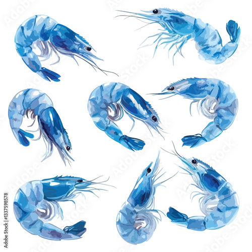 Fresh Blue Shrimp Photo Collection for Culinary Designs