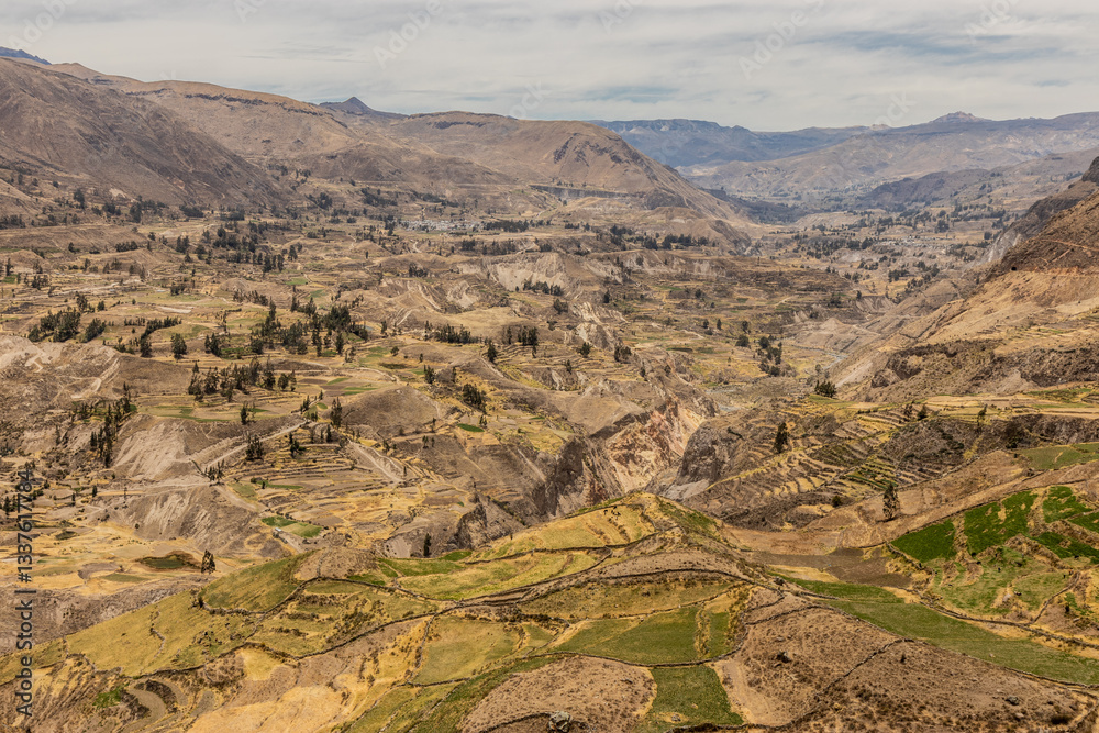 Fototapeta premium Aerial view of Colca canyon, Peru