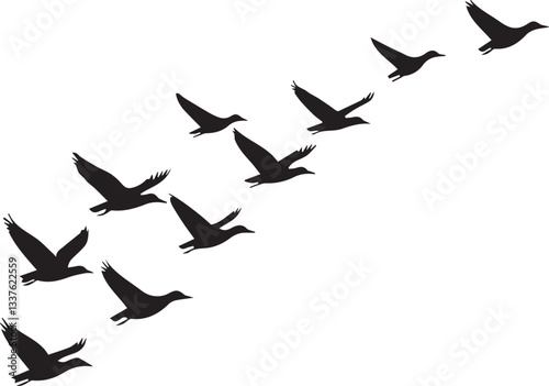 Silhouette of birds migrating in the sky, wings spread wide vector silhouette