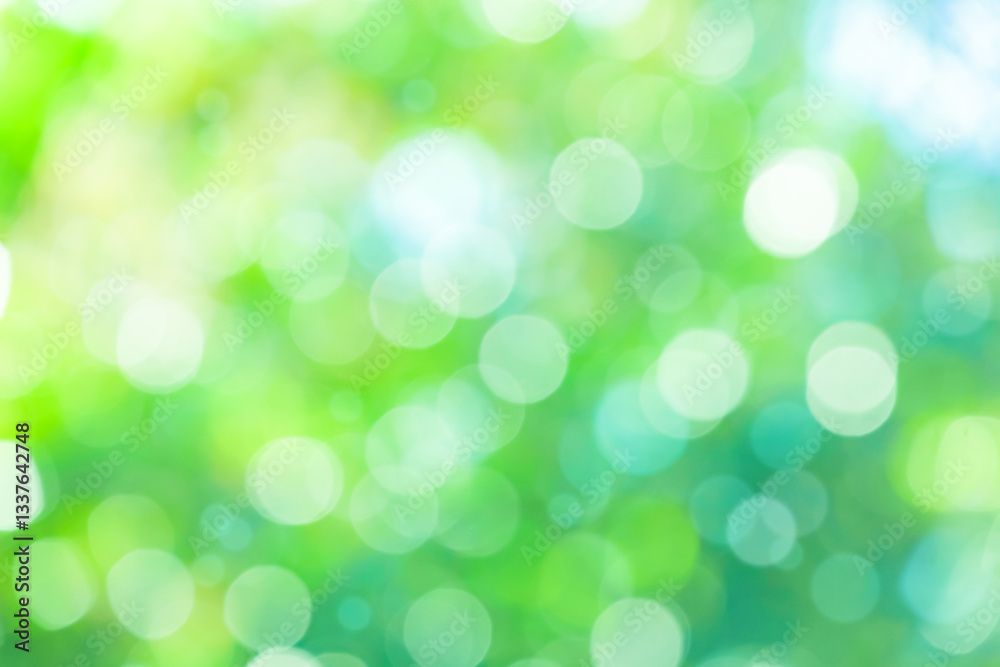 Obraz premium ぼけた緑のバックグラウンド