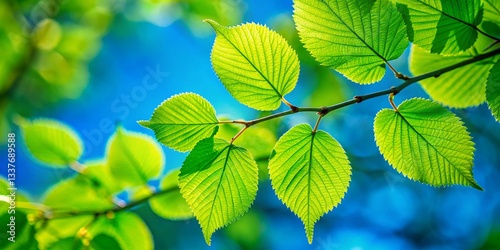 Lush Green Leaves on Tree Branch Against Vivid Blue Sky - Macro Stock Photo