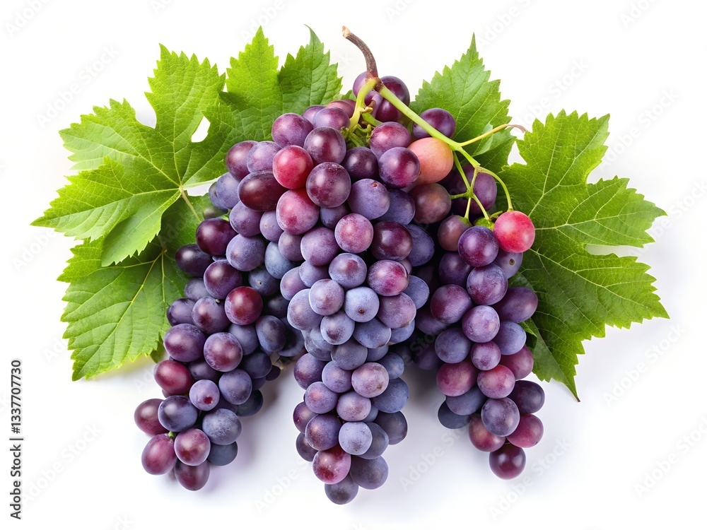 Fototapeta premium Juicy Purple Grapes with Green Leaves on a White Background