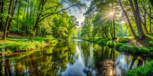 Panoramic View of Tuchola National Park River and Lush Forest