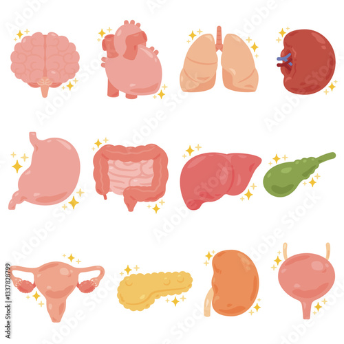 健康で元気な内臓のイラストセット