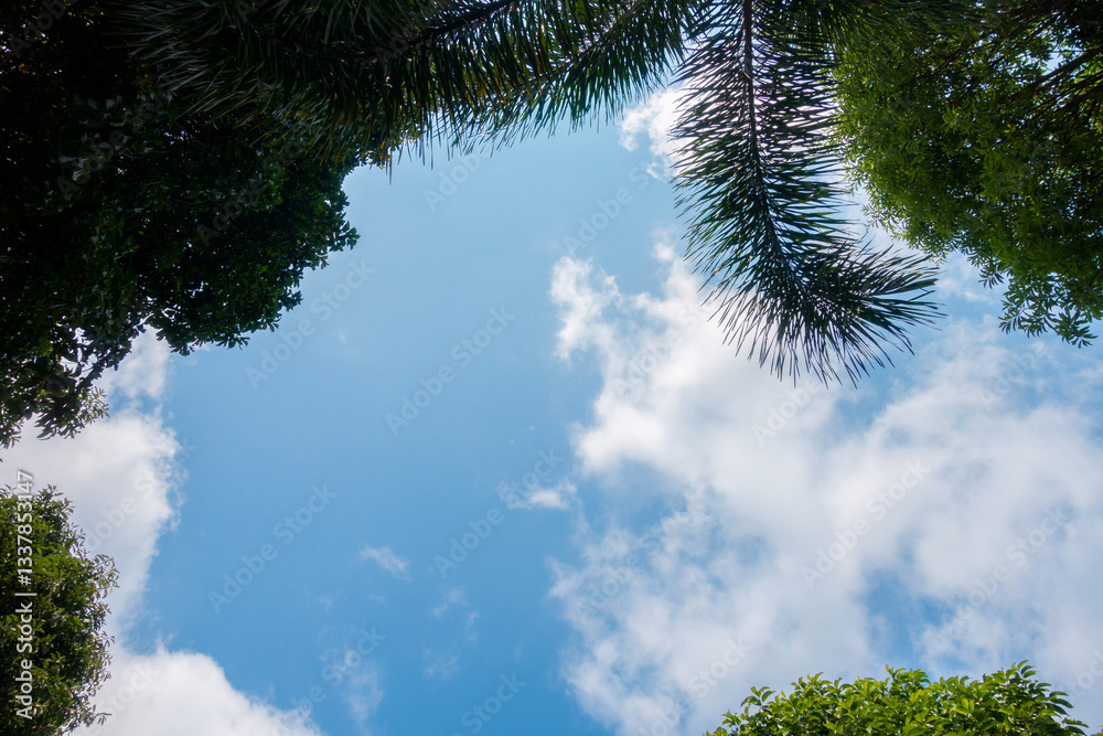 Naklejka premium clear blue sky background,clouds with background. 