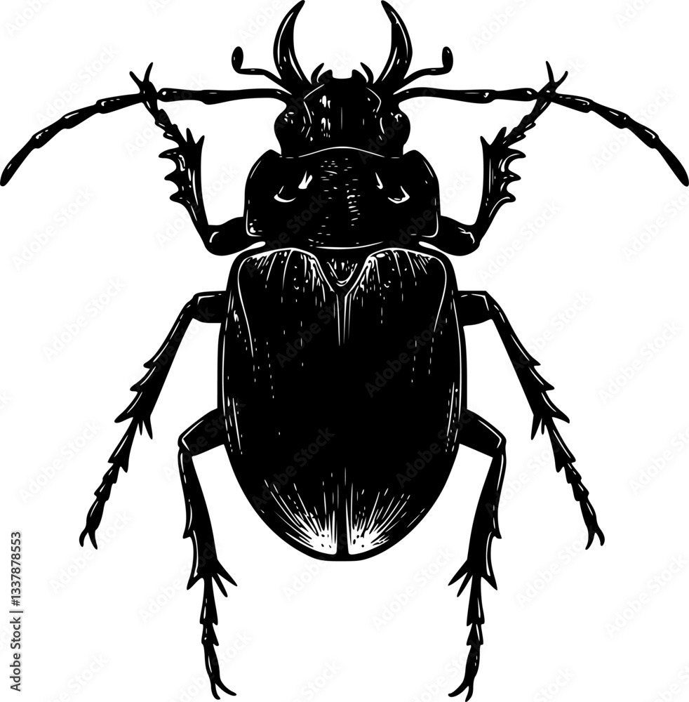 Fototapeta premium Black and white beetle cartoon, Beetle icon silhouette 
