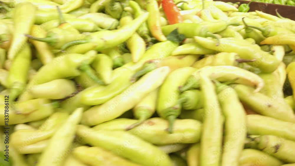 Fresh Green Peppers at a Local Market – Vibrant Organic Vegetables Fresh Green Peppers at a Local Market – Vibrant Organic Vegetables